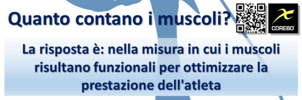 quanto contano i muscoli nello sport e perché