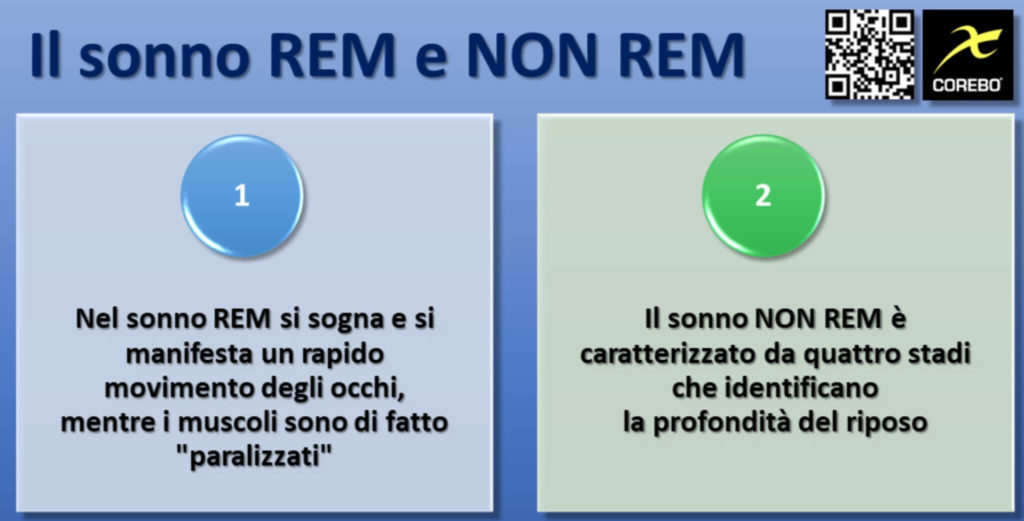 fisiologia del sonno REM e NON REM