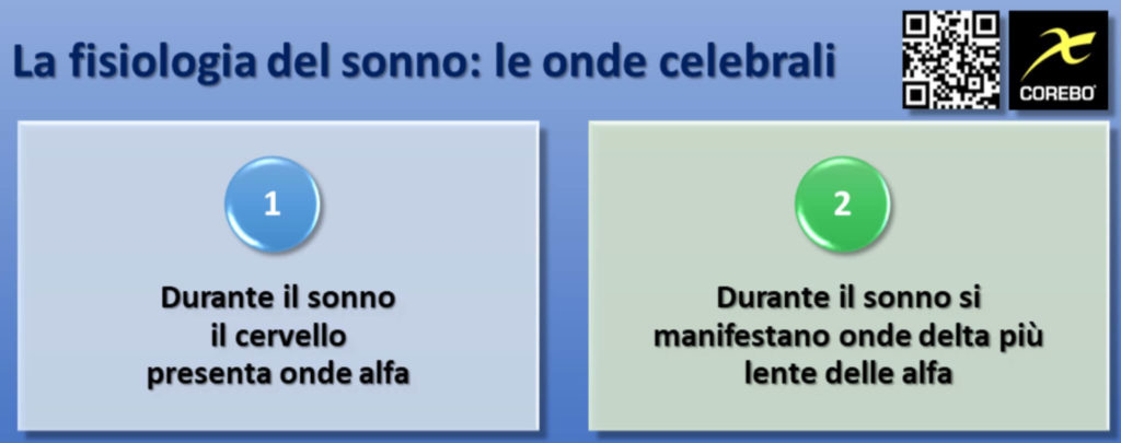 la fisiologia del sonno e le onde cerebrali 
