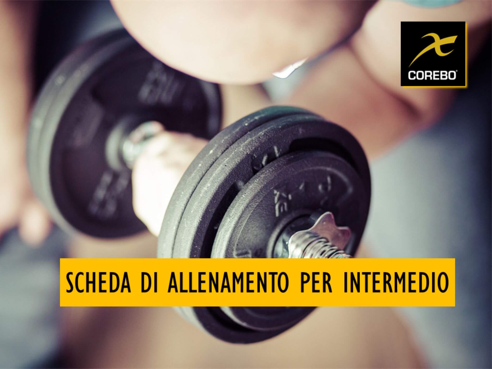 scheda di allenamento per intermedio