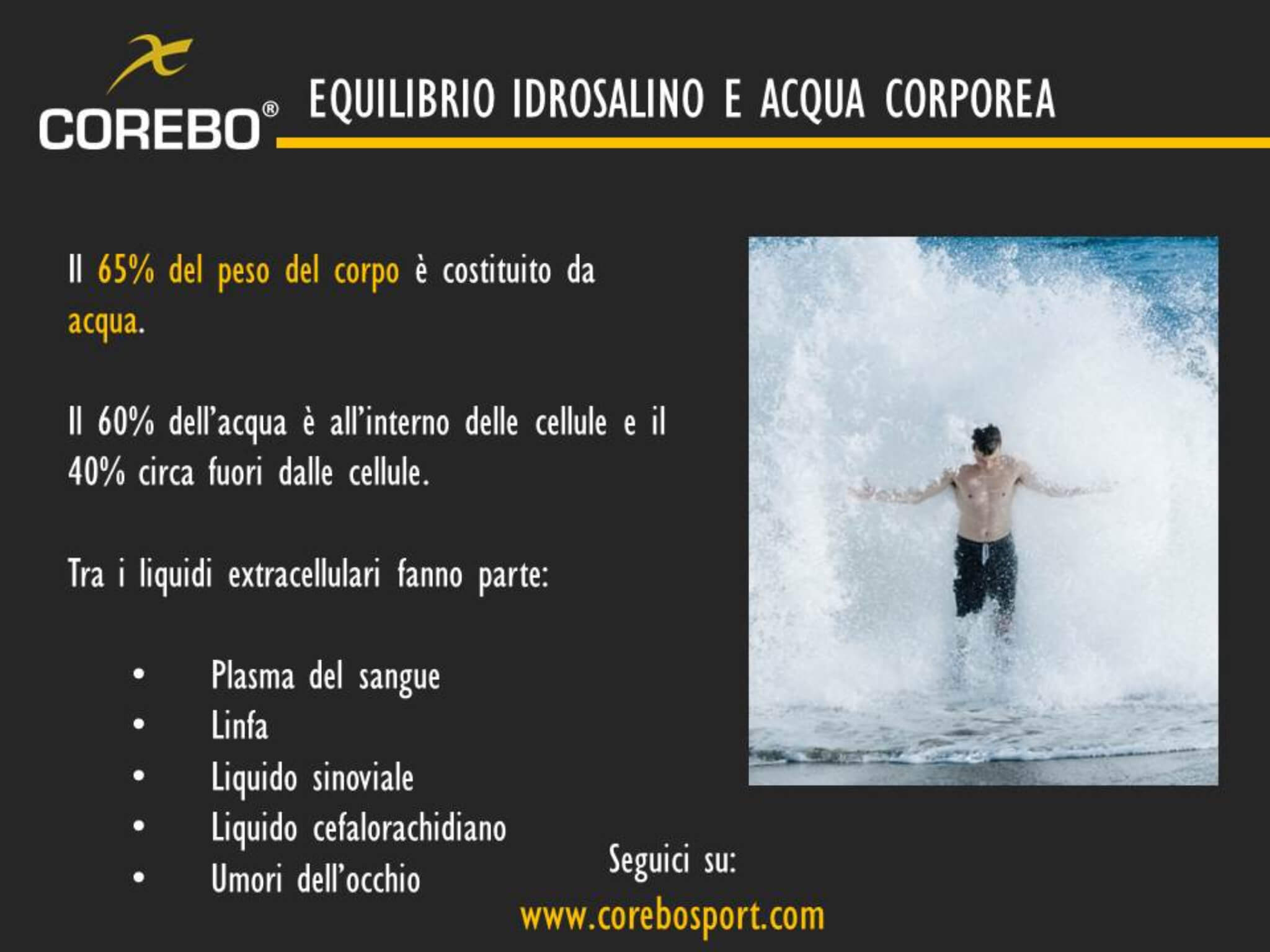 equilibrio idrosalino e acqua corporea