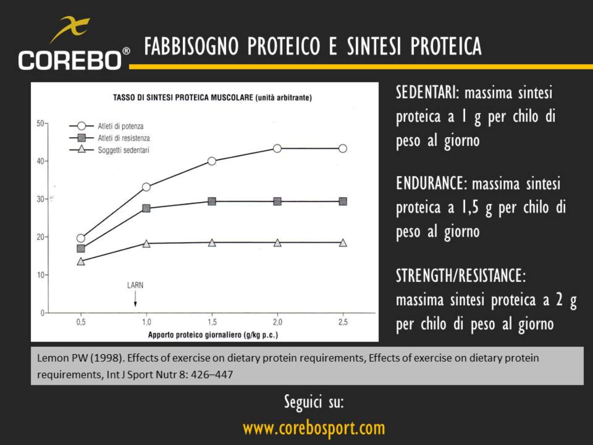 fabbisogno proteico e sintesi proteica