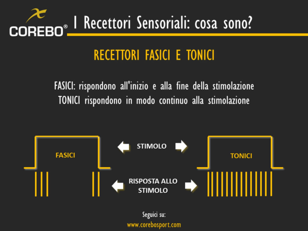 recettori sensoriali