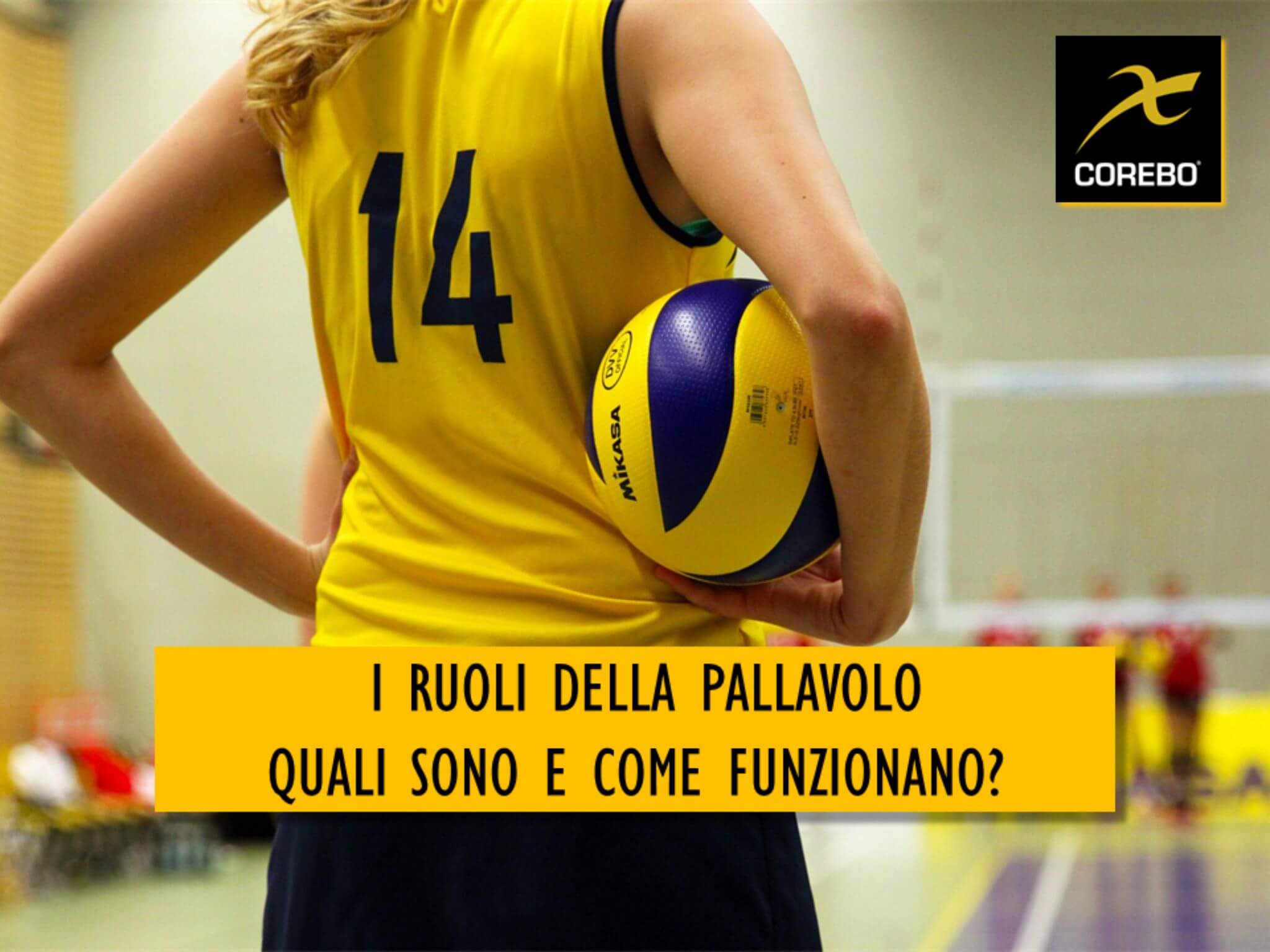 I ruoli della pallavolo