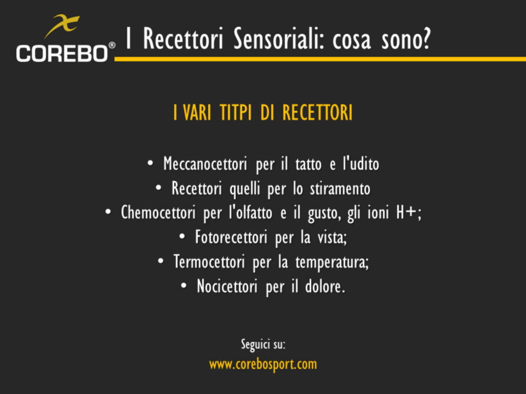 recettori sensoriali cosa sono