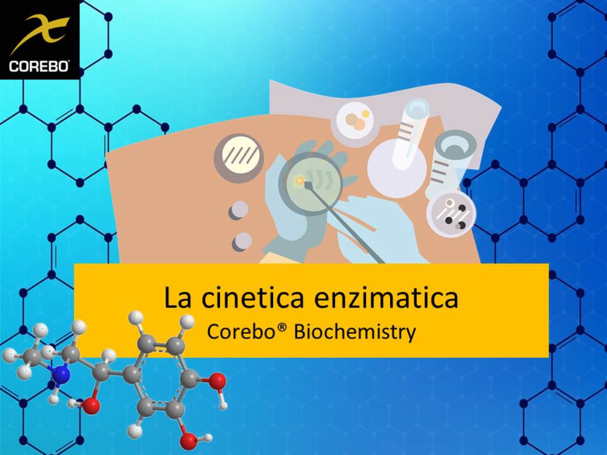 cinematica degli enzimi