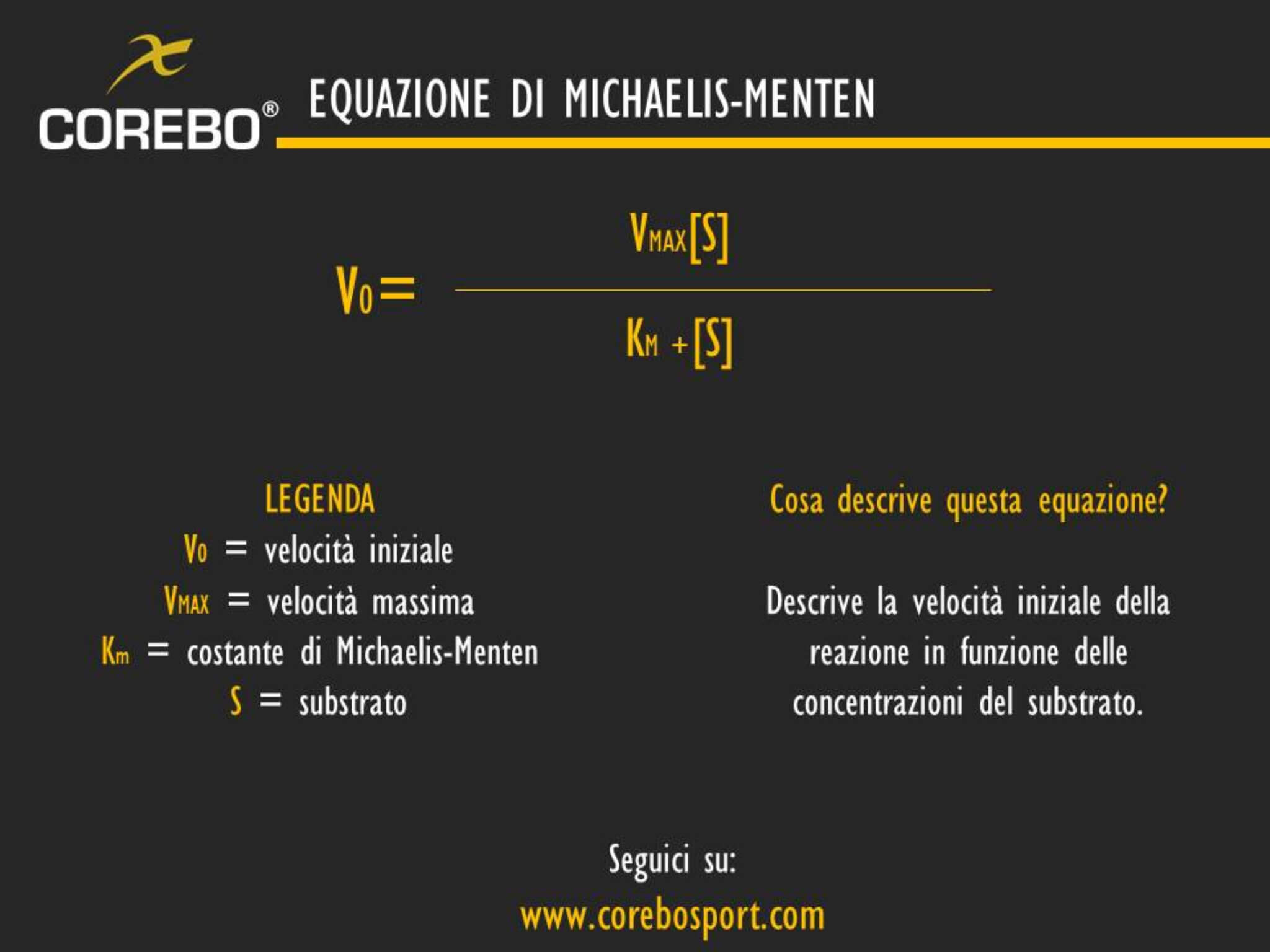 equazione di michaelis menten cinematica enzimatica