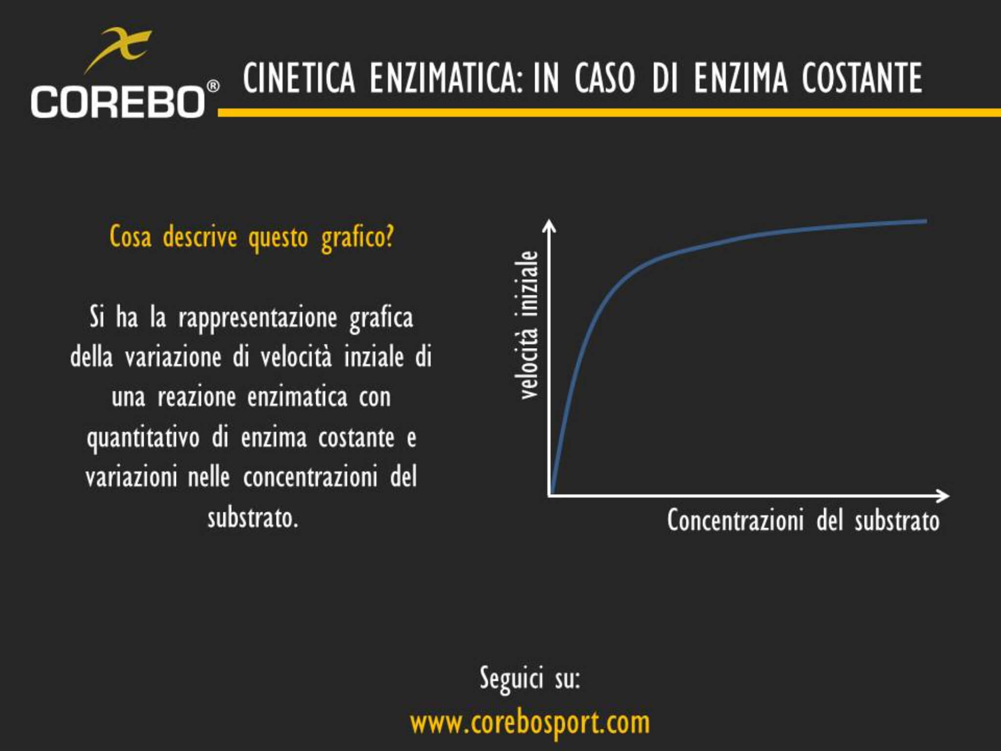 cinetica enzimatica