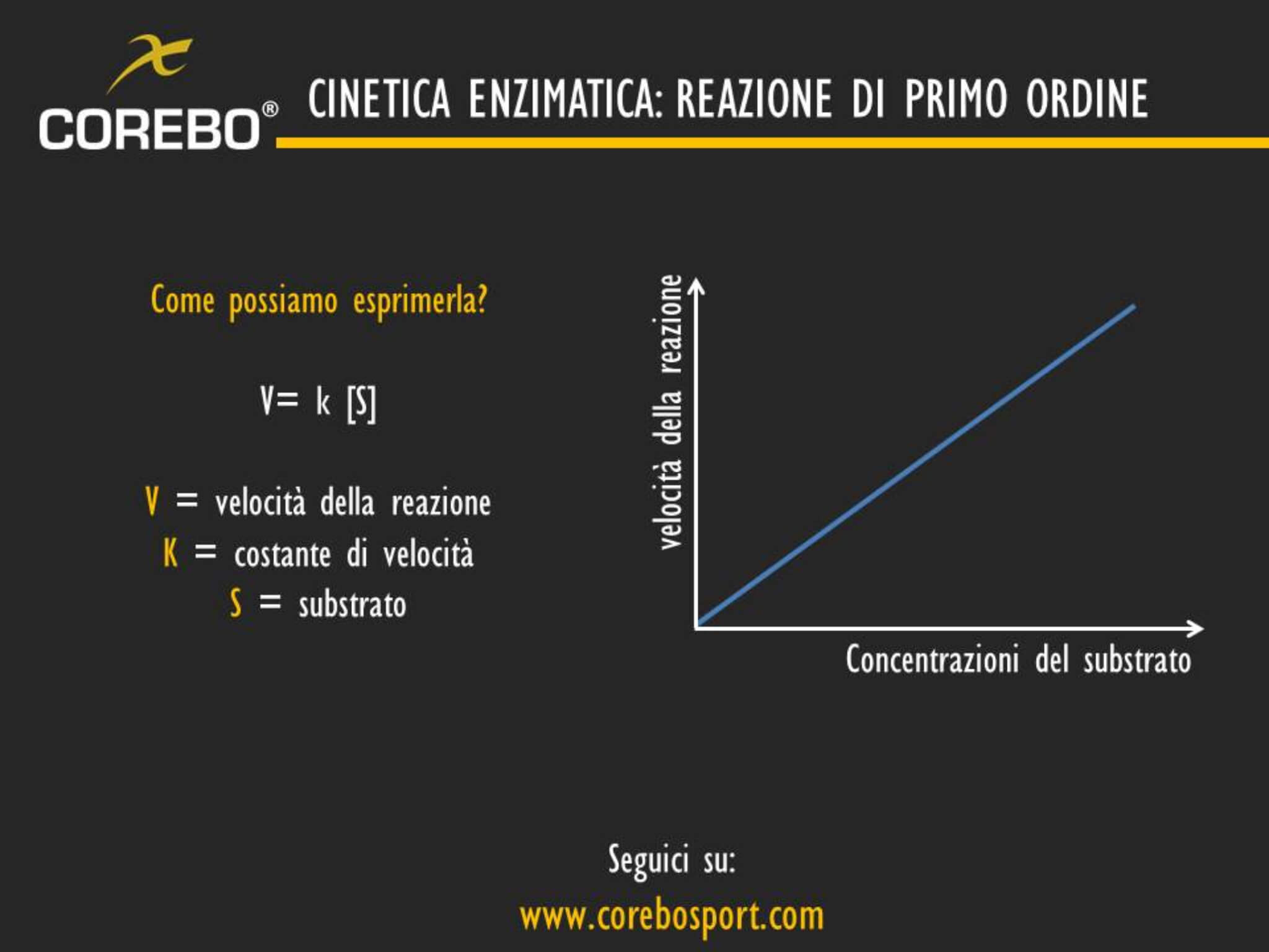 cinetica enzimatica reazione di primo ordine