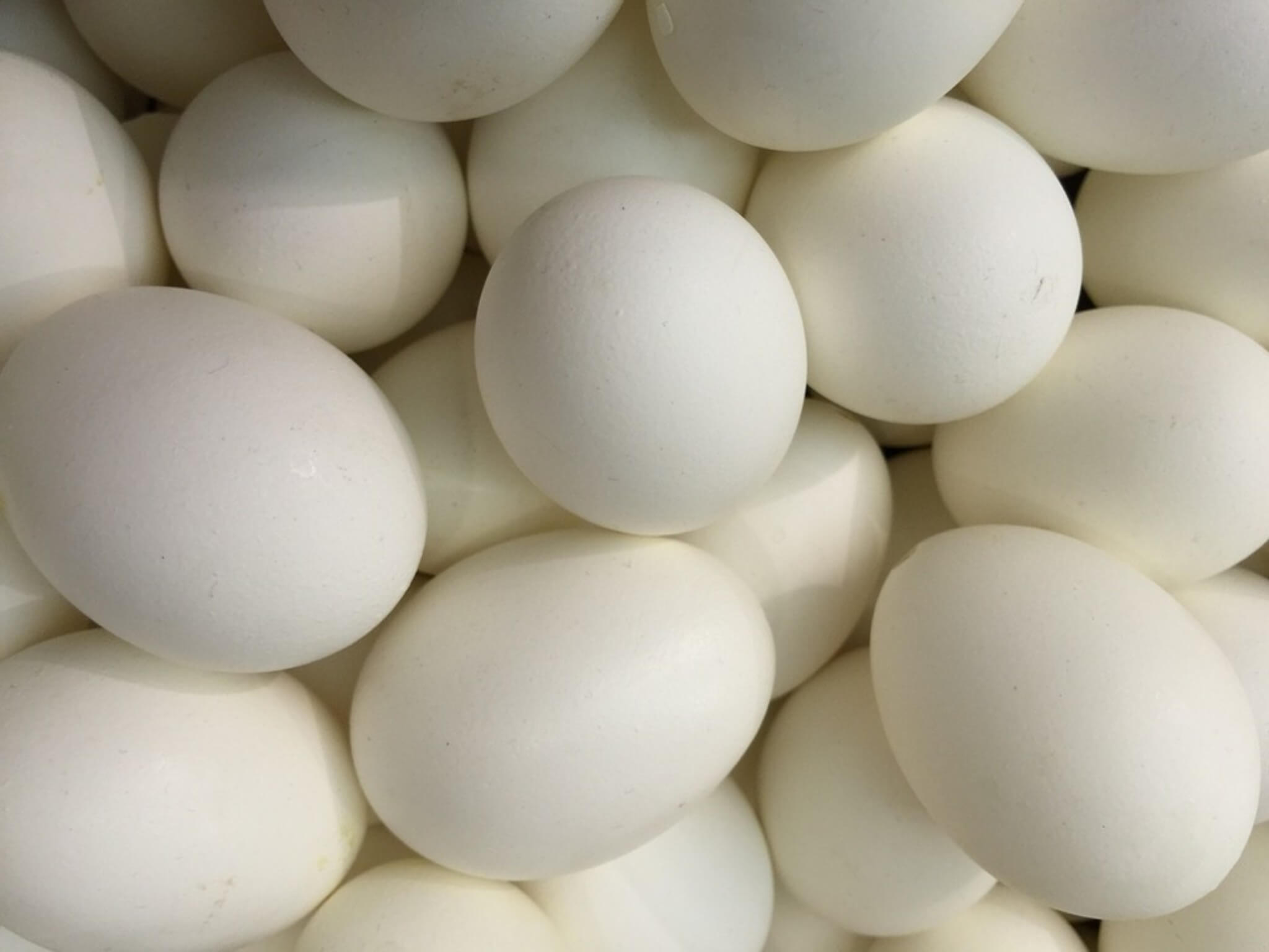 uova fanno male falso mito