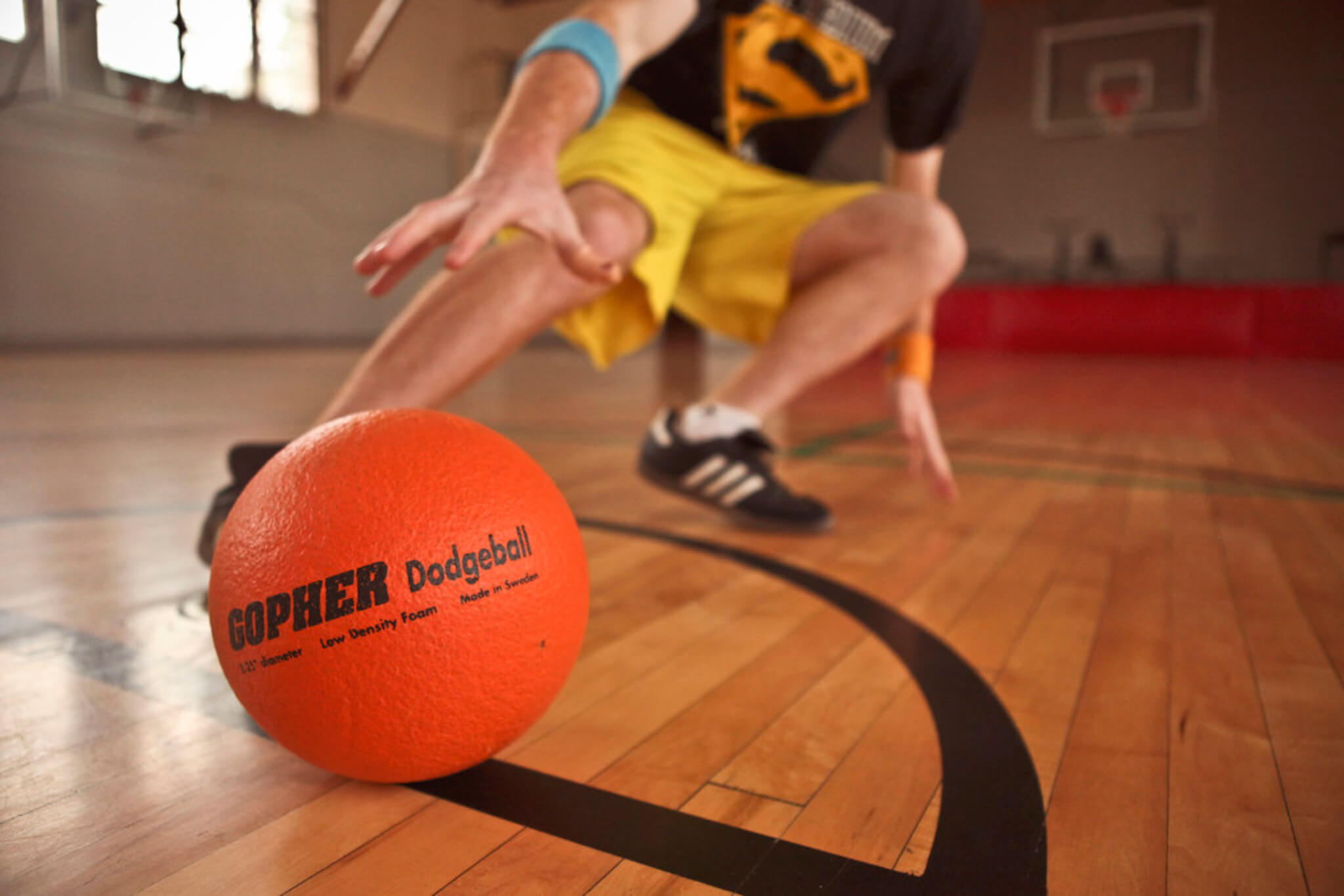 dodgeball regole sport