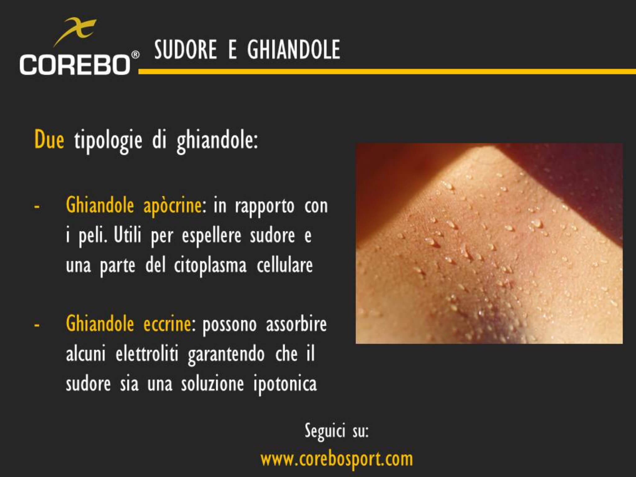 equilibrio idrosalino e sudore