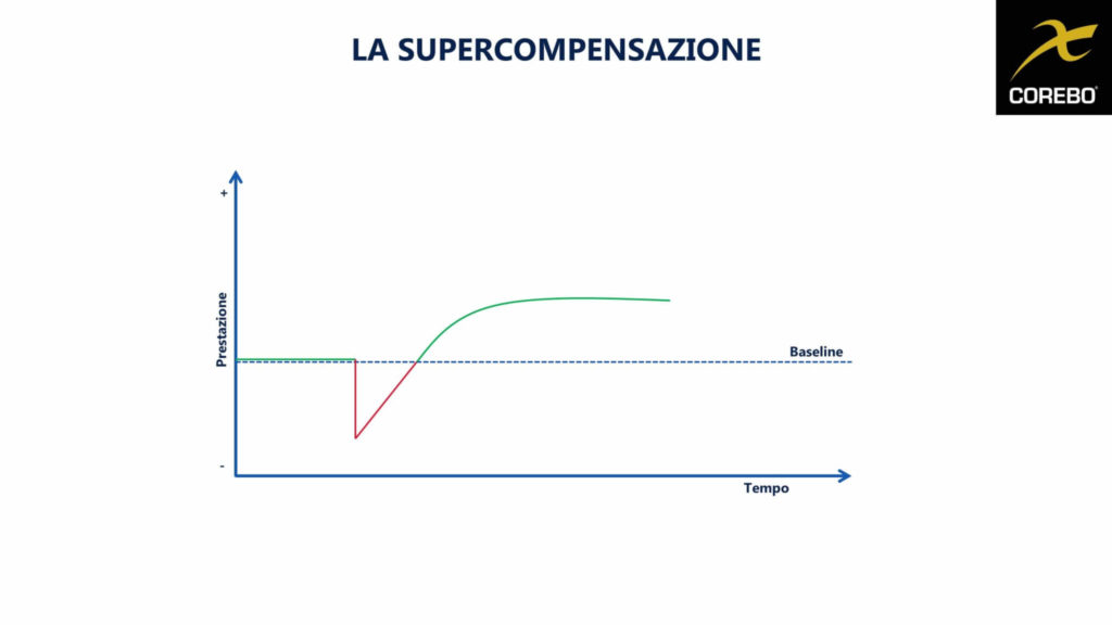 Supercompensazione che cos'è