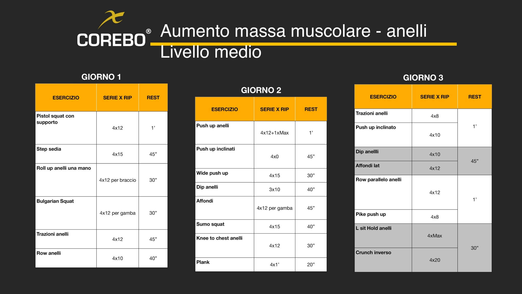 scheda allenamento a casa per la massa muscolare con anelli
