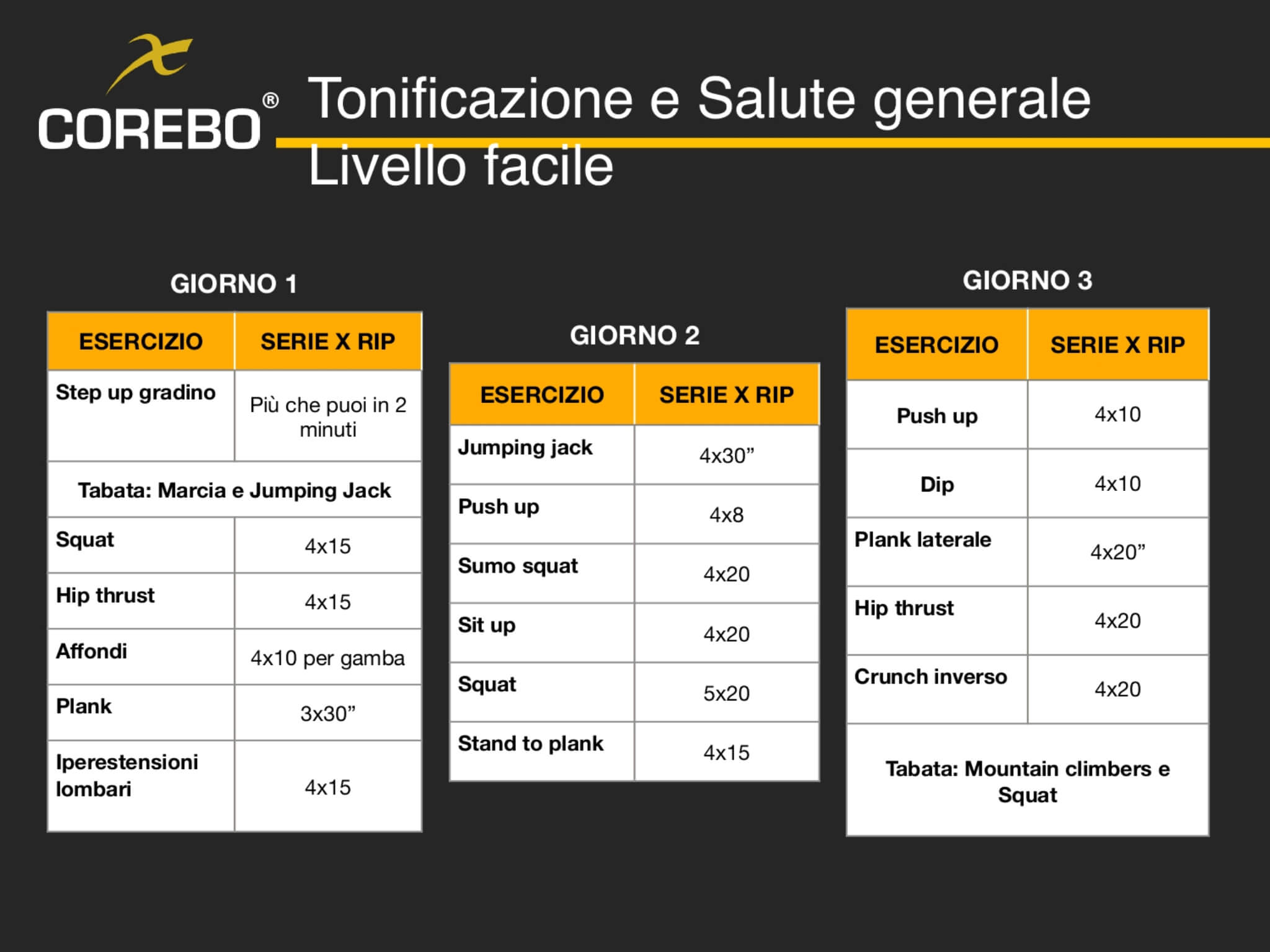 scheda allenamento casa tonificazione - livello facile