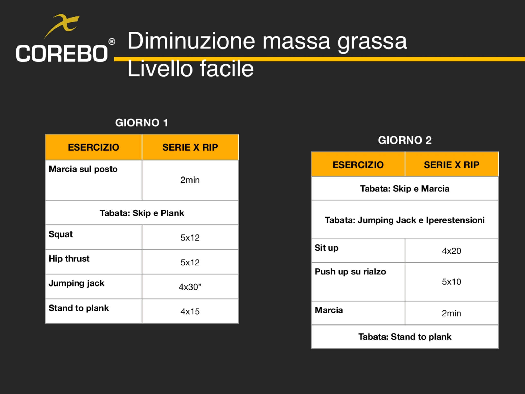 scheda allenamento casa dimagrimento livello facile