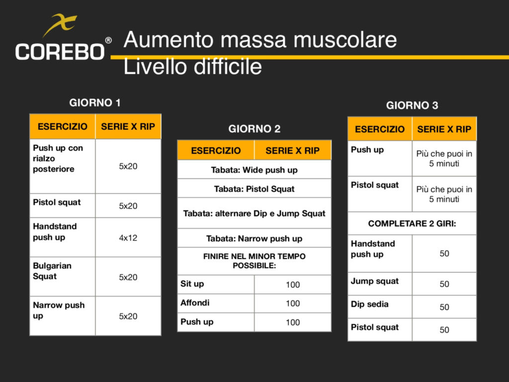 Schede allenamento a casa massa muscolare livello difficile