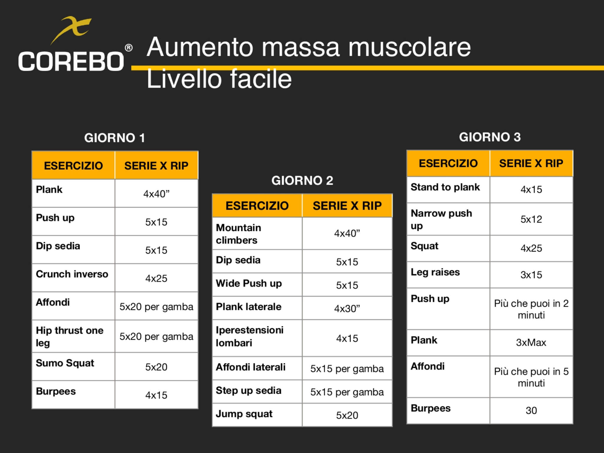 Schede allenamento a casa aumento massa muscolare introduttivo