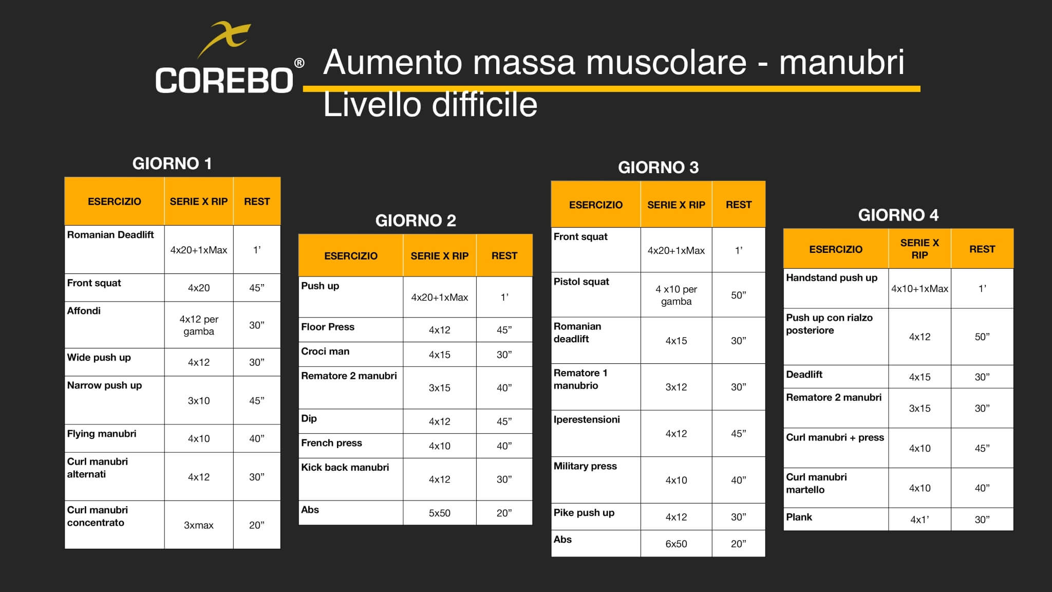 scheda allenamento a casa manubri per esperti