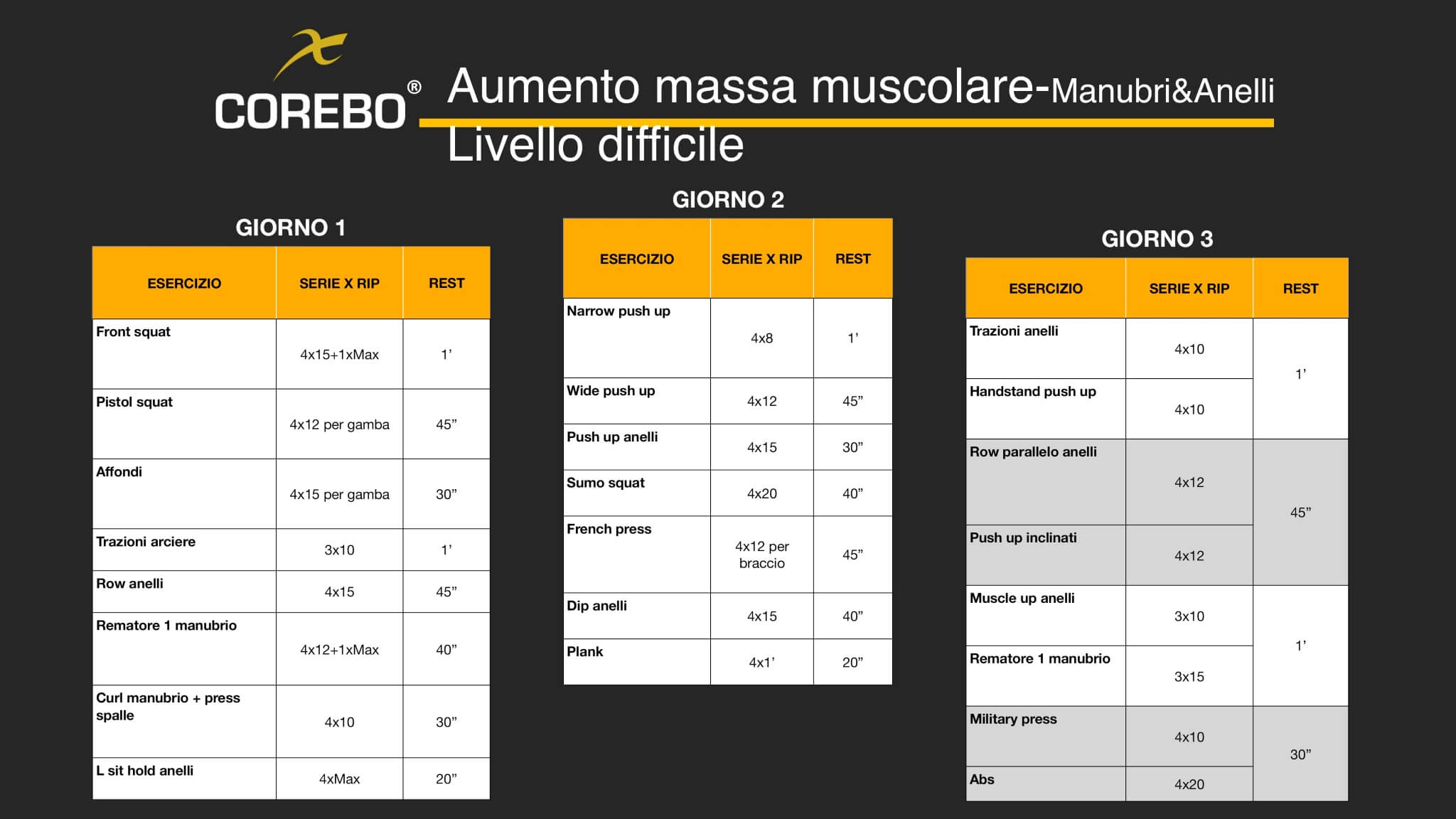 scheda allenamento casa con manubri e anelli