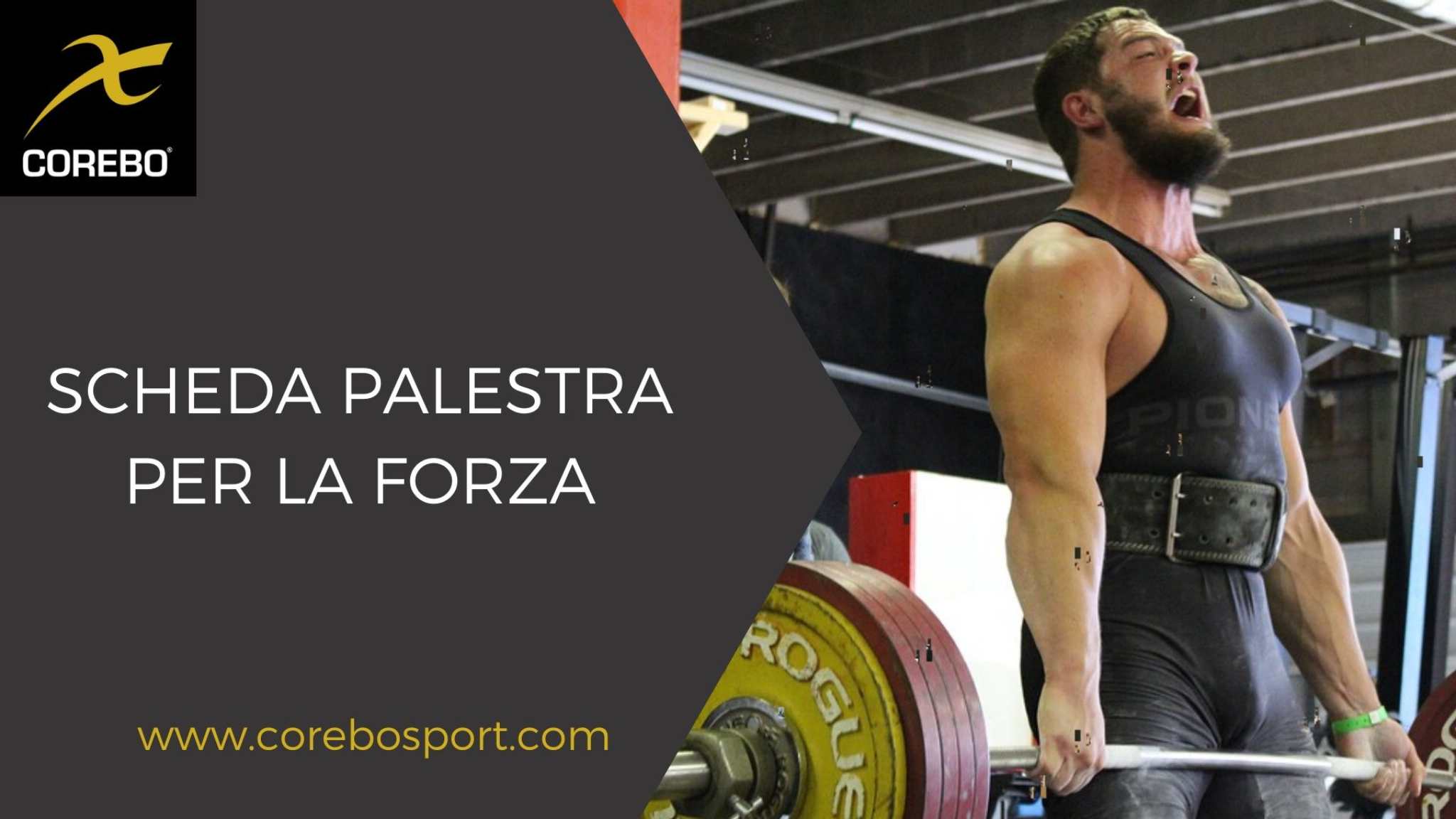 Scheda palestra per la forza