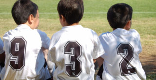 Fasi sensibili e tabella di Martin